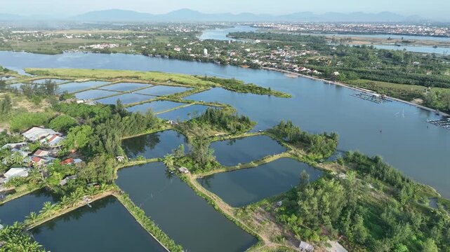 Aerial view of aquaculture ponds along the Thu Bon River with lush vegetation and rural surroundings in Hoi An, Da Nang, Vietnam.