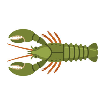Red flake soft plastic craw bait vector