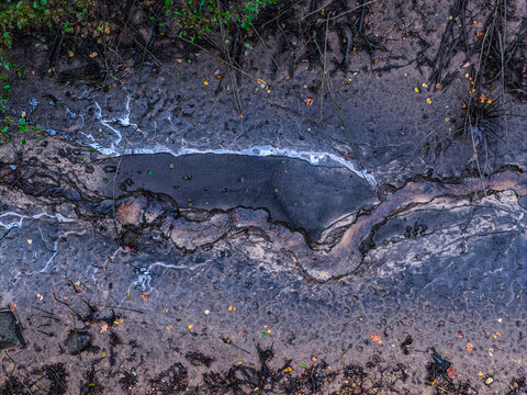 Aerial view of a muddy stream bed with dark sediment, textured earth, and scattered fallen leaves in Latvia.
