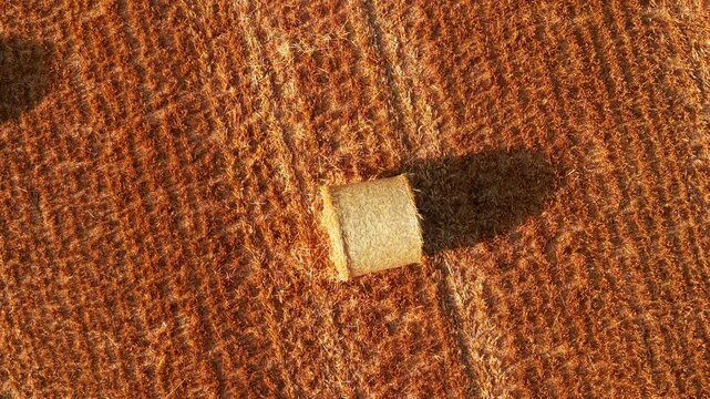 Top view hay bale on harvested agricultural field. Vertical drone perspective with geometric crop stubble pattern and elongated evening shadow. Precision farming, forage harvest, rural texture, aerial