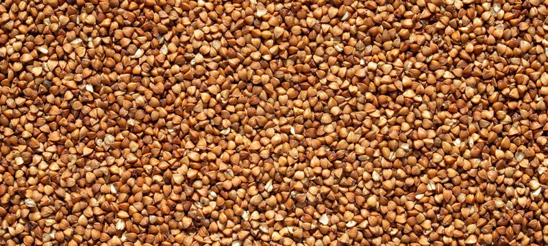 Raw roasted buckwheat groats texture background for healthy food design