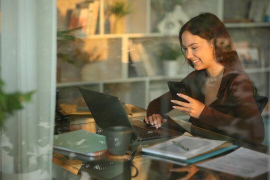 Happy telecommuter using laptop holding phone working