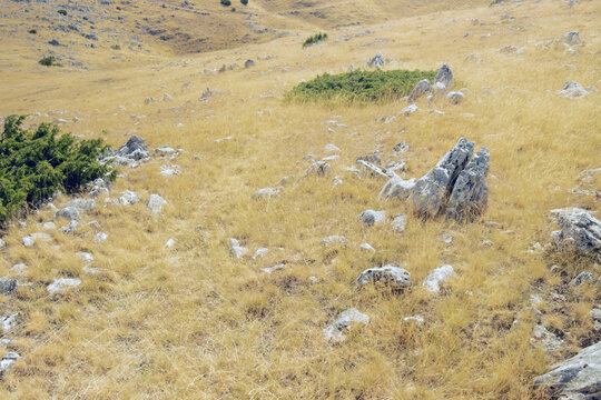 Rocky Karst Grassland with Dry Golden Vegetation in Bosnia and Herzegovina