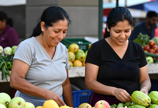 Local food market shopping, two women choosing fresh organic produce and vegetables at a street stall for healthy nutrition and sustainable living