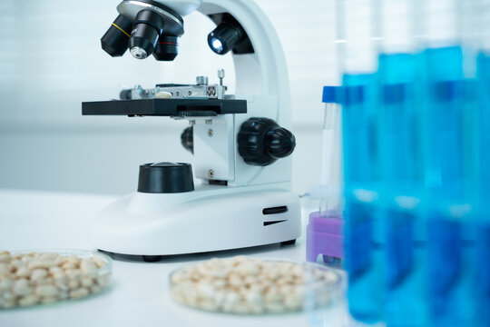 Scientist analyze biochemical samples in advanced scientific laboratory. Medical professional use microscope look microbiological developmental of viral. Biotechnology research in science lab.