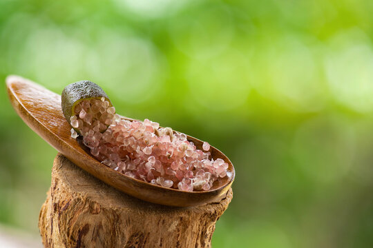 Pink finger Lime fruits on natural background.