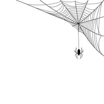 Spooky Spider Web Frame and Border Collection for Halloween Vector