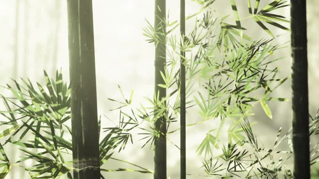 Dewladen bamboo leaves with crisp macro detail, droplets catching light, delicate veins and fresh green tones, invigorating morning scene for nature