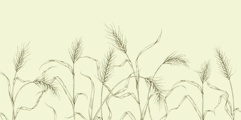 Obraz premium Set of wheat ears, leaves and elements. Line art hand drawn illustration of botanical elements of farm and autumn. Fall and cozy seasonal designs