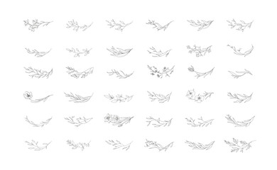 Naklejka premium Set of whimsical floral design elements. Botanic ark and borders . Leaves and branches print for social media, packaging or wedding greeting card. Vector