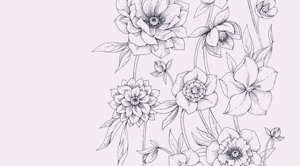 Fototapeta premium Hellebore background with flowers and leaves. Detailed hand drawn ink illustration of helleborus for invitation, wallpaper art or save the date