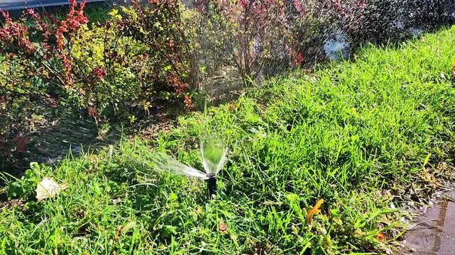 Automatic sprinkler watering green lawn and bushes in an urban park. City infrastructure for public green space maintenance and automated irrigation in municipal landscaping.