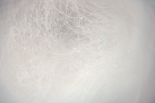 Close-up view of delicate white fibers with a soft, blurred background, showcasing intricate textures and subtle light reflections in a minimalistic composition