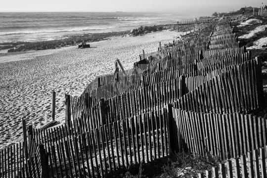 Black and white view of weathered wooden dune fences lining a sandy beach beside the ocean