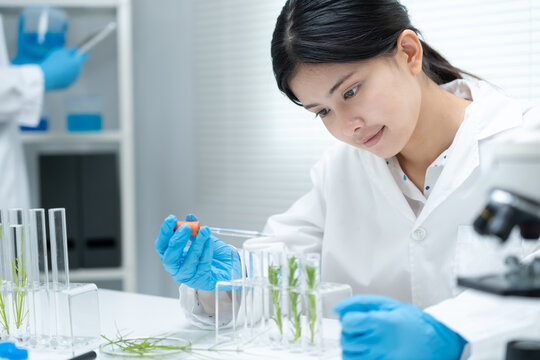 Scientist analyze biochemical samples in advanced scientific laboratory. Medical professional use dropper mix microbiological developmental of viral. Biotechnology research in  science lab. cosmetic