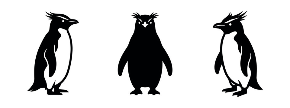 Stylized Crested Penguin Illustrations Set, Rockhopper Penguin Black and White Icons