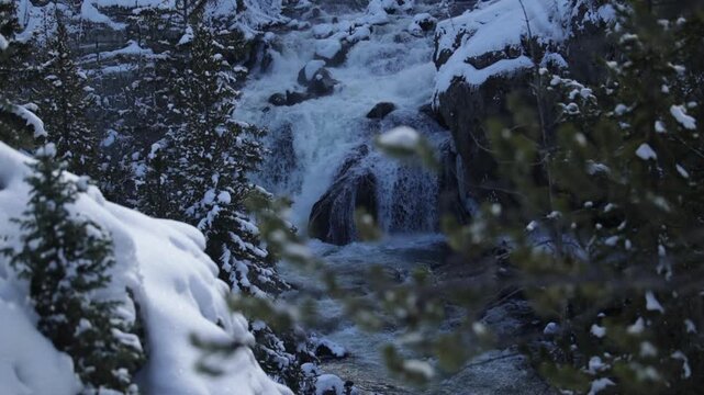 Camera Focuses on a Small Snow Covered Pine Tree then Refocuses on a Beautiful Waterfall Behind, and the River Running through a Snow Covered Landscape