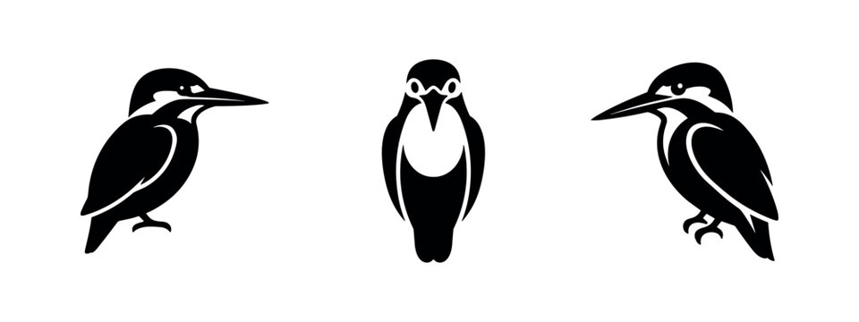 Set of three minimalist kingfisher bird silhouettes in various poses, vector illustration.