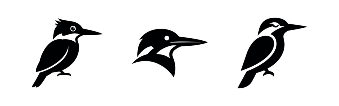 Set of three kingfisher bird silhouettes, featuring full body and head-only variations for logos or emblems.