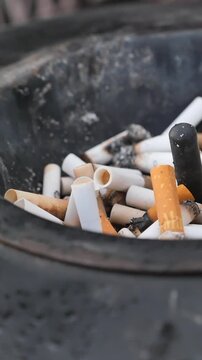 Close up cinematic footage of many used cigarette butts discarded in a dirty ashtray indicating a smoking habit and pollution.
