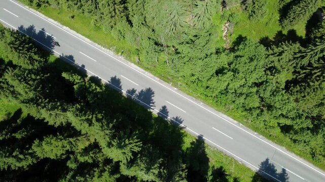 Aerial Drone View of Cars and Motorcycles on a Road Through a Lush Green Forest.