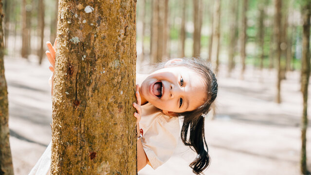 Cute Asian little girl standing hiding back beside a tall tree in a lush green forest, happy child playing hide and seek outdoors in the forest nature park