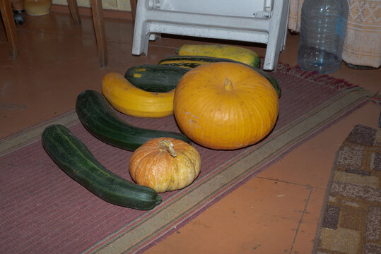 Freshly harvested zucchini, squash, and pumpkins arranged on a rustic rug indoors, showcasing a seasonal homegrown vegetable harvest.