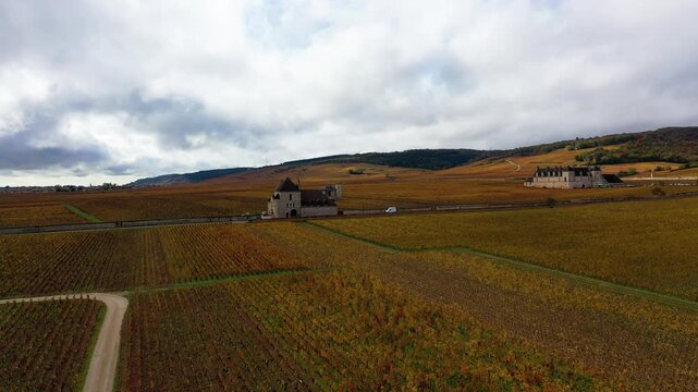 Aerial view of autumn vineyards in Burgundy France