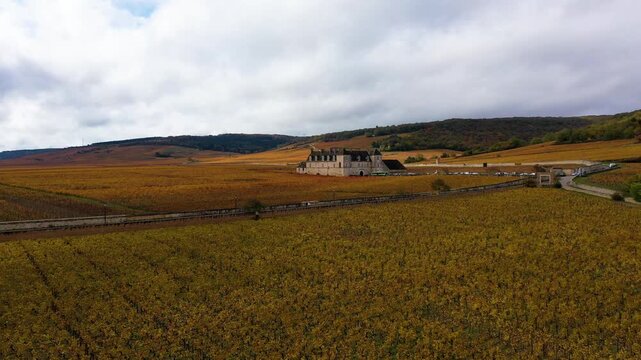 Wine estate surrounded by Burgundy vineyards in autumn