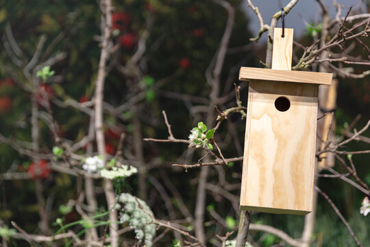 Wooden Birdhouse Hanging From Tree Branch Outdoors For Wildlife Habitat And Garden Decoration Springtime Blossoms And Foliage In Background
