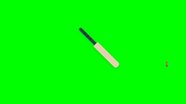 Professional Cricket Bat and Ball Motion Graphic with Detailed Willow Wood Grain on Green Screen Background