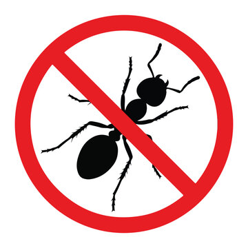 Stop ant pest control prohibition sign with red circle insect symbol