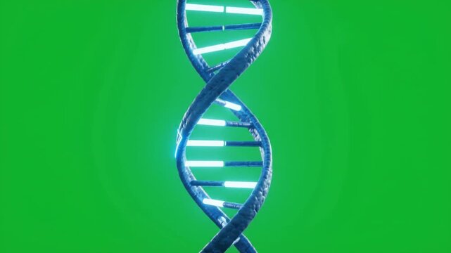 A double helix structure representing genetic code rotating against a vivid chroma screen which allows scientists to analyze molecular biology research developments within human health care