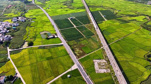 Cinematic aerial: Train and highway running parallel through terraced golden rice fields in a karst valley.