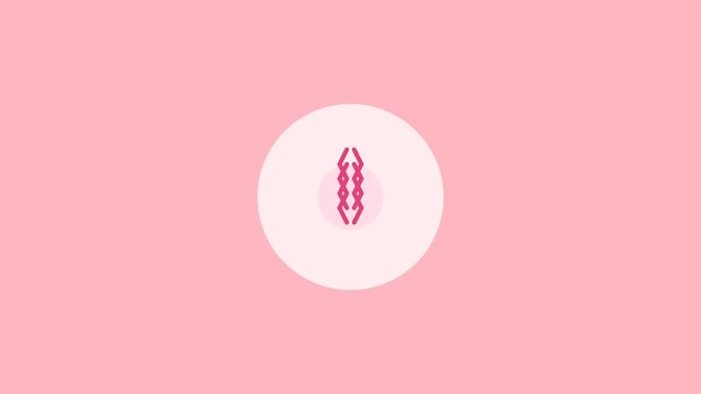 Biological Cell Mitosis Animation showing Chromosome Separation and Cytokinesis on Pink Background