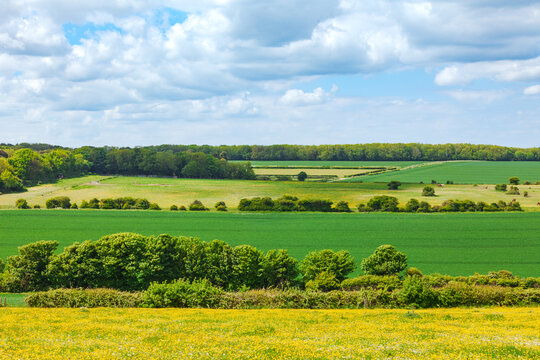 Green fields, pale farmland and hedgerows create layered bands across rural Kent, England. A distant tree line and broken cloud cover shape a spacious agricultural countryside panorama.