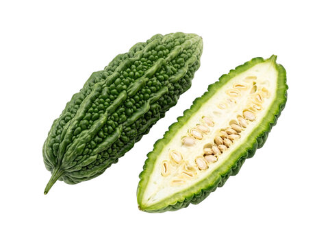 Fresh Bitter Melon and Cross Section