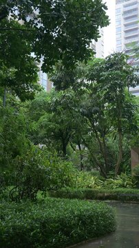 Heavy rain through a residential community garden during typhoon video with sound