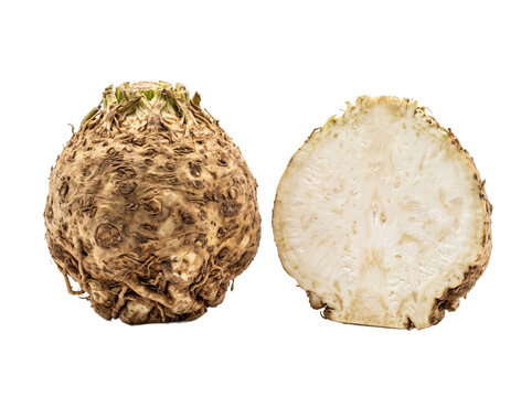 Fresh Celeriac Root and Cross Section