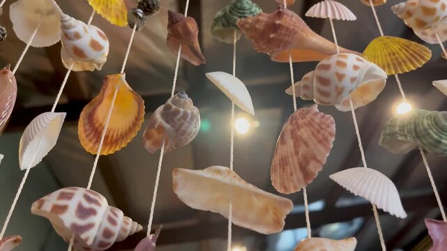 Various colorful seashell mobile hanging