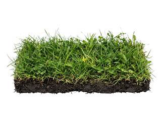 Isolated Patch Of Green Grass And Soil © ieps