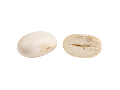 Whole and Split White Cannellini Beans
