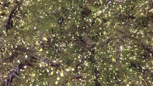 close-up dense, sparkling golden mini string lights covering a Christmas tree with a soft-focus background