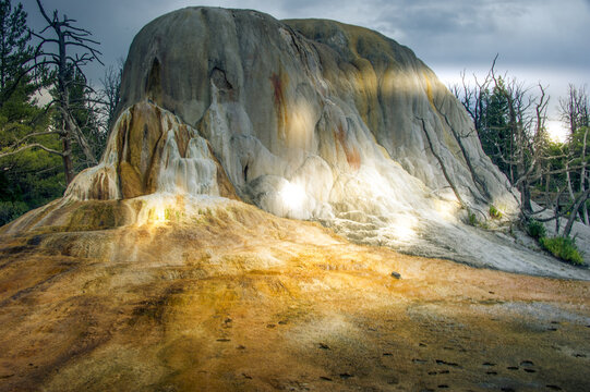 View of the travertine terraces at Mammoth Hot Springs with mineral deposits, vibrant orange and white colors, and surrounding dead trees in Yellowstone National Park, United States.