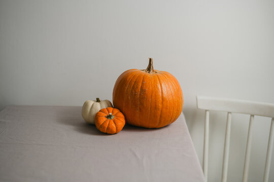 Autumn pumpkin still life with orange and white pumpkins on a table, minimalist seasonal home decoration with copy space for Halloween, Thanksgiving, fall lifestyle and food concepts