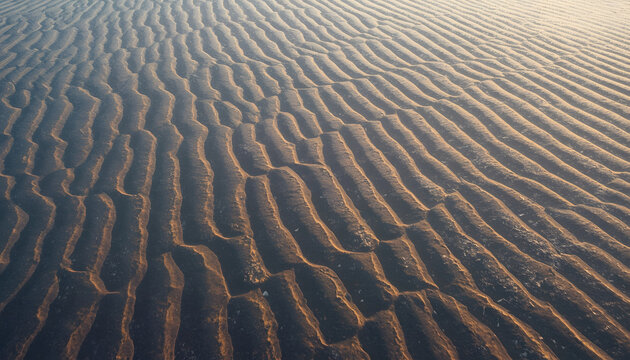 Sand dunes forming perfect geometric tessellation with frost texture