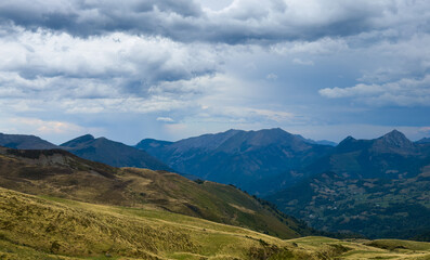 Obraz premium high angle shot of the trees on the grass-covered meadow with the mountains in the background