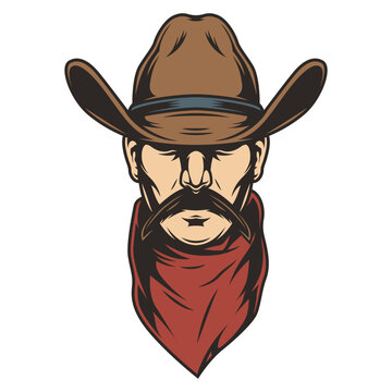 vector illustration