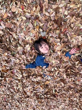 一面の落ち葉の中に埋もれてカメラを見つめて微笑む可愛い子供