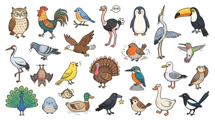 Fototapeta premium Collection of hand drawn cartoon birds and animals including owl, rooster, penguin, and toucan on white background
